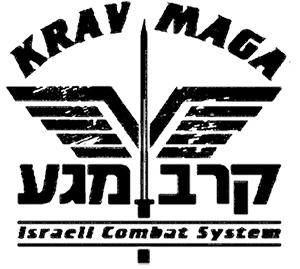 Private Group Classes - Lions Krav MagaLions Krav Maga